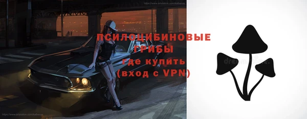 дмт Баксан