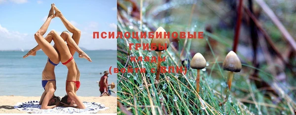 стафф Балабаново
