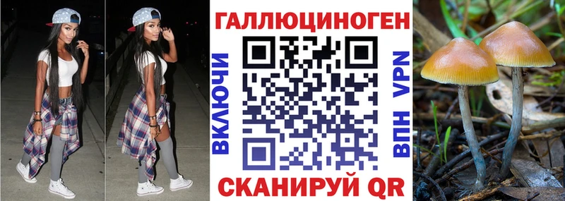 закладки  площадка Telegram  Псилоцибиновые грибы Magic Shrooms  Нея 